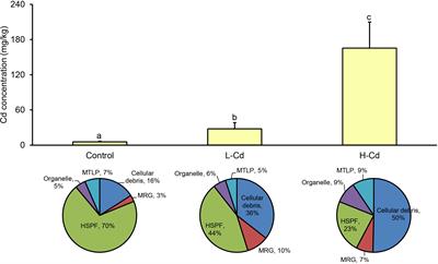 Toxicological effects of cadmium on deep-sea mussel Gigantidas platifrons revealed by a combined proteomic and metabolomic approach